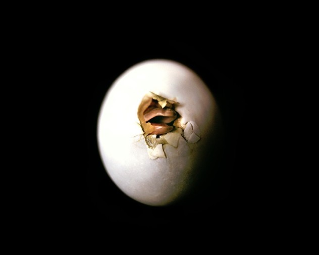 alice-grace-woosey-02