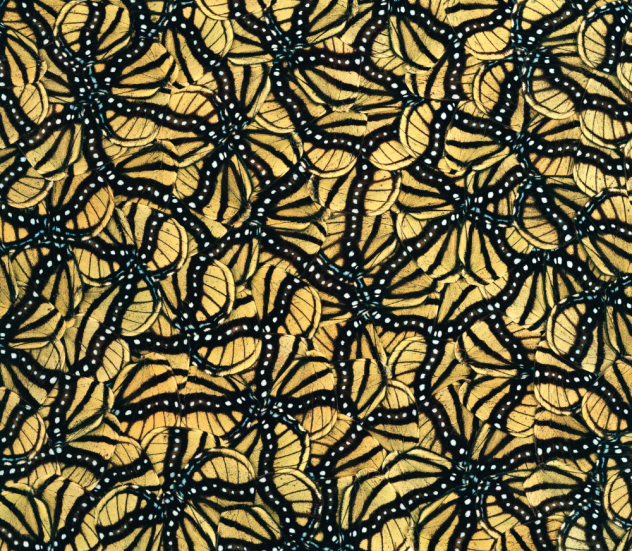 nathalia-edenmont-05