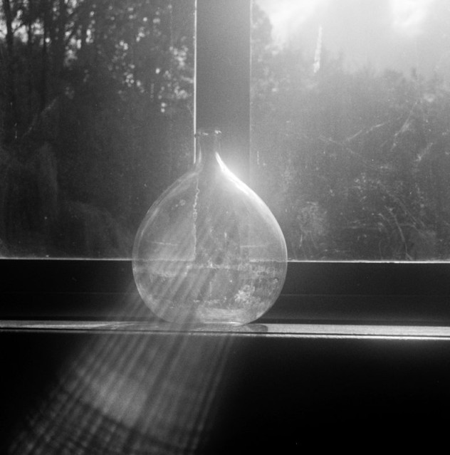 AdinaIonescuMuscel02