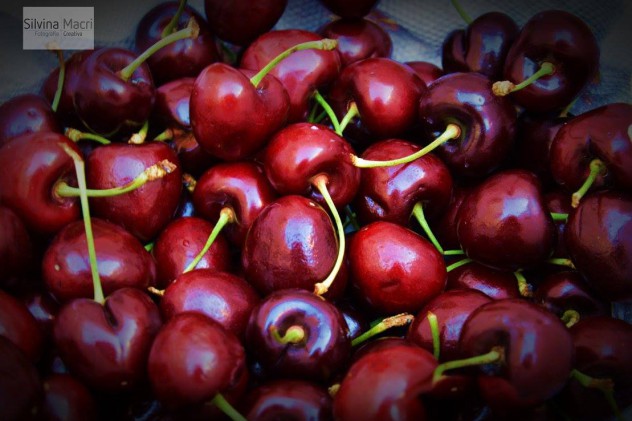 12244653_10154469049284126_3860448532122205134_o