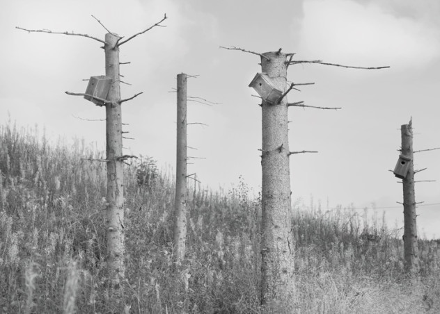 ingvild-melberg-eikeland-02