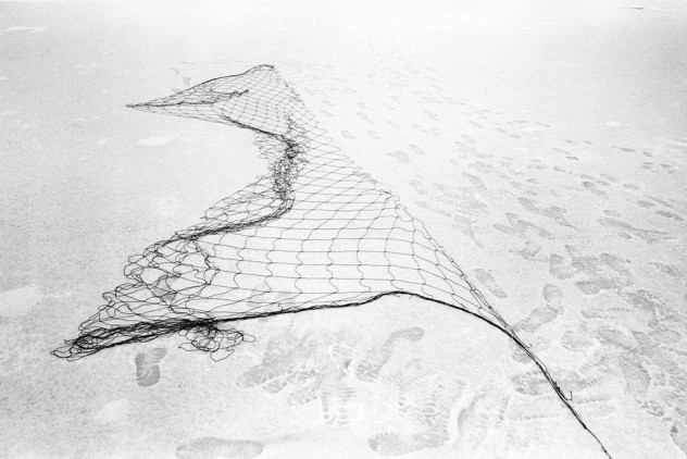 GREENLAND. Tiniteqilaaq. 2000. When the fiord freezes to ice, the hunters can no longer shoot seals from their boats. Instead they put up nets under the ice to catch the seals. After catching a seal they spread out the net to unwind the tangles.