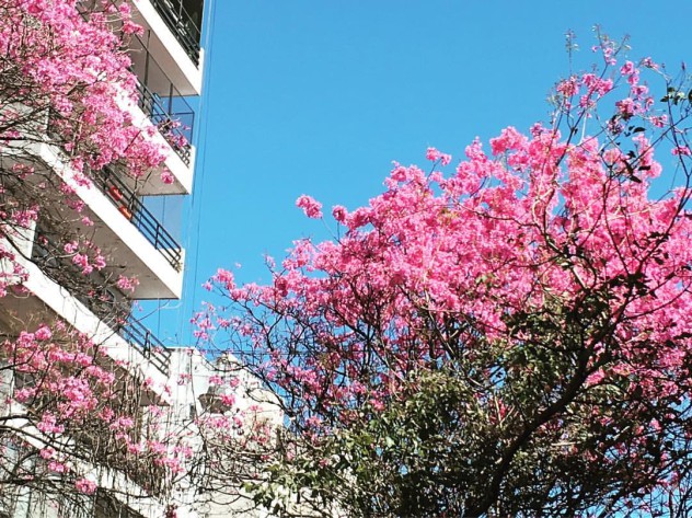 14468734_1164489353633172_8262240102205575179_o