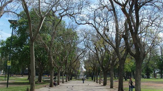 e6510a4da2e763aa644b764930b7c664