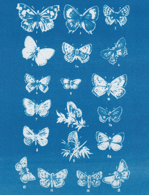 0ae7acfcd28f9319e1e15bcd2161125f