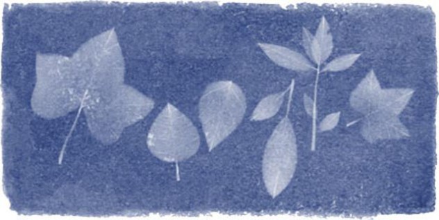 Quien-fue-Anna-Atkins-Google-le-hace-un-tributo-a-la-gran-botanica-y-fotografa-4